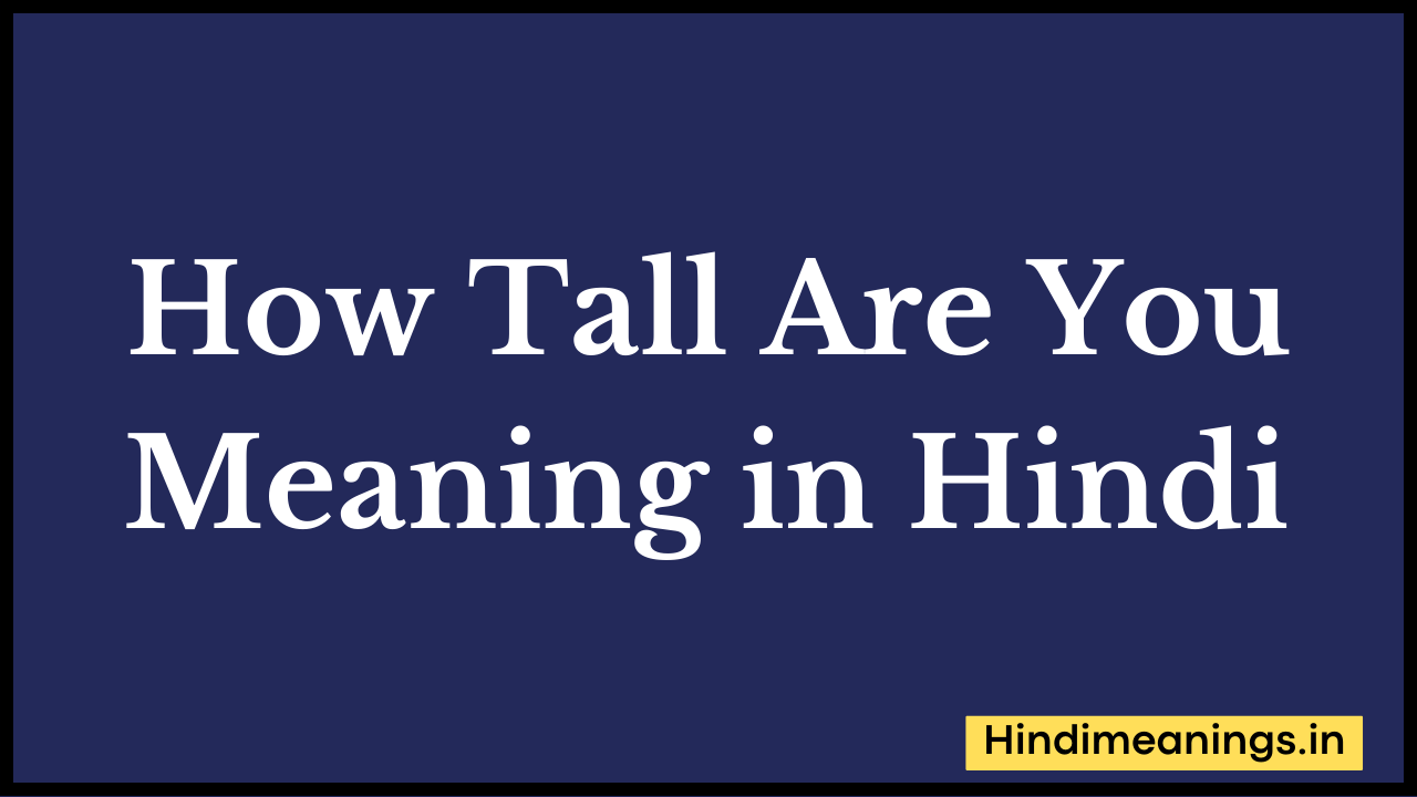 How Tall Are You Meaning in Hindi