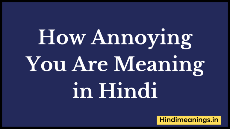 How Annoying You Are Meaning in Hindi | “हाउ एनायिंग यू आर” मीनिंग इन हिंदी.