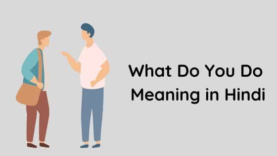 What Do You Do Meaning in Hindi