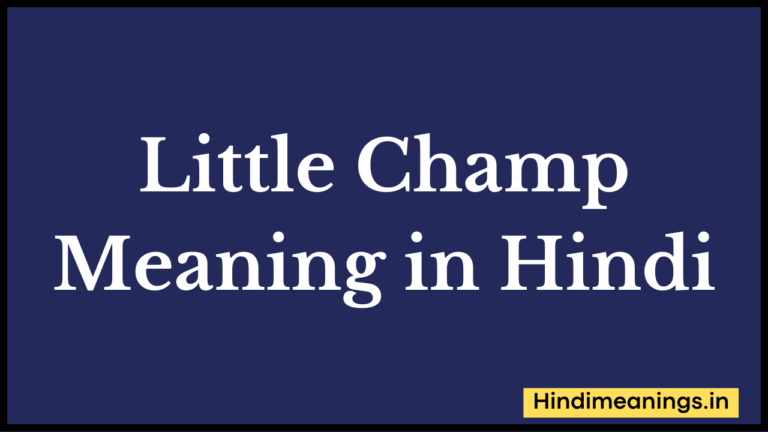 Little Champ Meaning in Hindi।”लिटिल चैंप “मीनिंग टू हिंदी