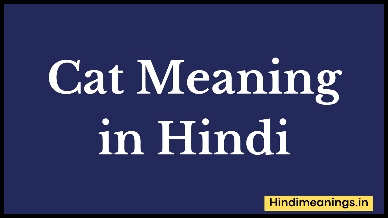 Cat Meaning in Hindi