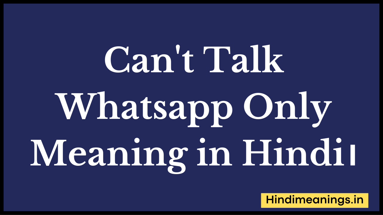 Can't Talk Whatsapp Only Meaning in Hindi।