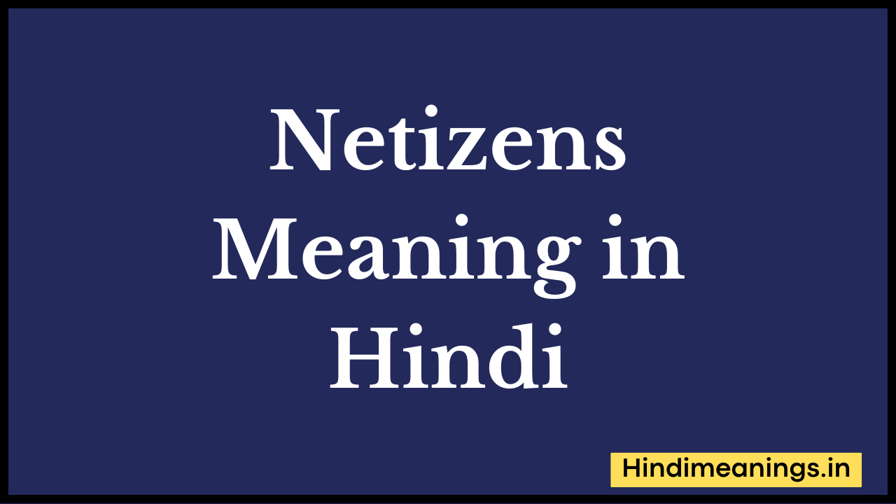 Netizens Meaning in Hindi