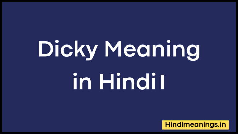 Dicky Meaning in Hindi।”डिकी” मीनिंग इन हिंदी