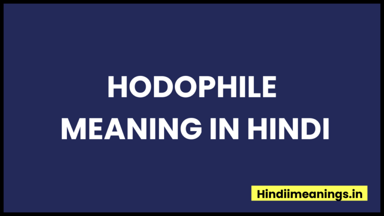 Hodophile Meaning In Hindi l “होडोफाइल” मीनिंग इन हिंदी.