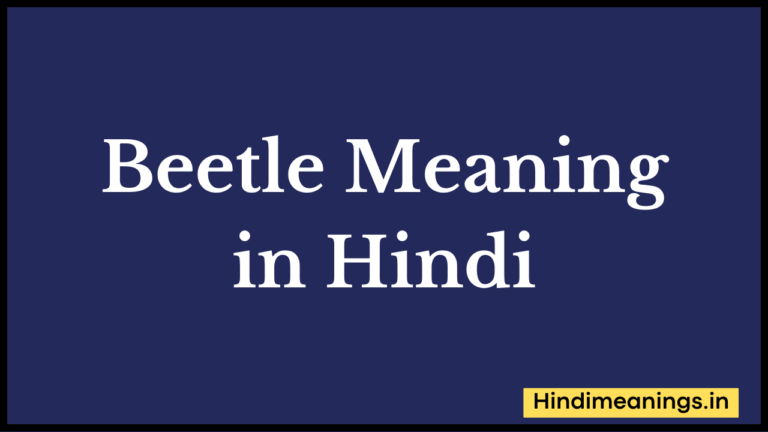 Beetle Meaning in Hindi। “बीटल” मीनिंग इन हिंदी.