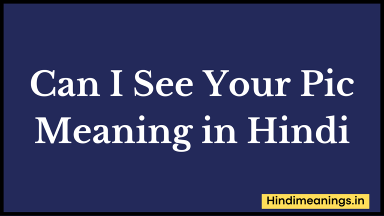 “कैन आई सी योर पिक” मीनिंग इन हिंदी । Can I See Your Pic Meaning in Hindi