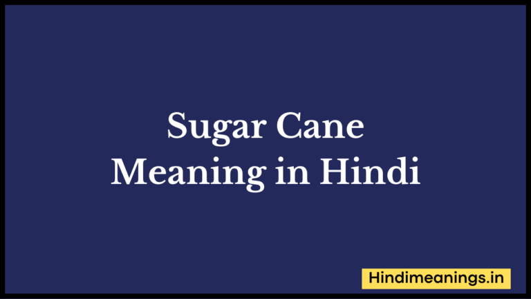 “ सुगरकेन ” मतलब हिंदी में? | Sugar Cane Meaning in Hindi