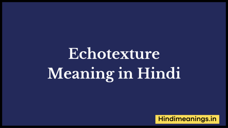 “ इकोटेक्सचर ” मतलब हिंदी में? | Echotexture Meaning in Hindi