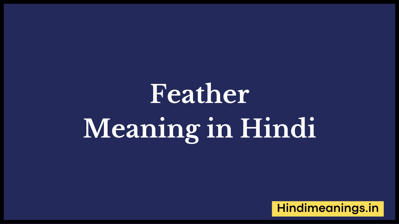 Feather Meaning in Hindi
