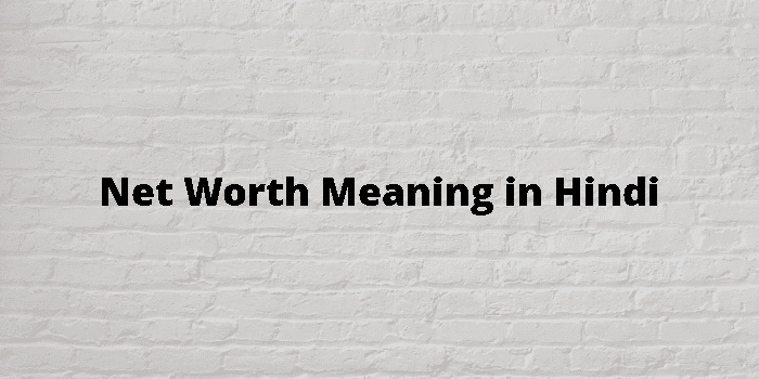 Net worth meaning in Hindi