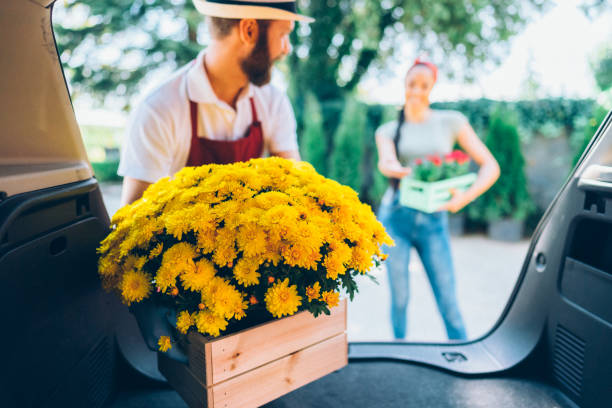 How to Ensure Your Flowers Stay Fresh After Delivery in Adelaide?